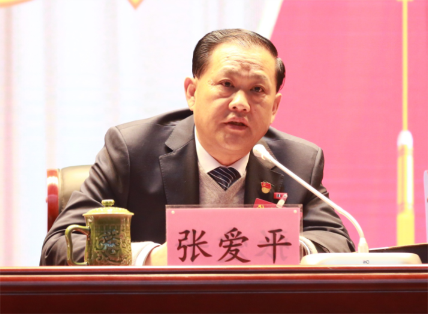 张爱平同志宣读中共MK体育第一届党委成员分工及纪委成员分工